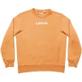 Levi's Unisex Graphic Crew Collegegenser