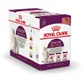 Royal Canin Sensory Smell Taste Feel - 12 x 85 g