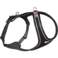 Curli Magnetic Belka Comfort sele Sort XL