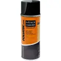 FOLIATEC Interiør Colour Spray mørk grå mat 400 ml