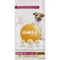 IAMS Advanced Nutrition Senior Small & Medium Dog 8+ med kylling - Økonomipakke: 2 x 5 kg
