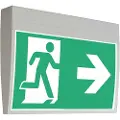 Synergy 21 LED Escape Sign Armatur Panel Armatur