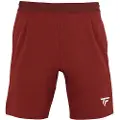 Tecnifibre Team Shorts