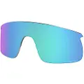 Oakley Mann Resistor (youth Fit) Replacement Lens