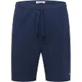 Tommy Hilfiger College Pop Surfer Shorts