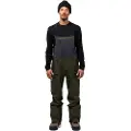 Jones Snowboards Shralpinist Strch Rec Bib Pant grønn