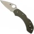 Spyderco Dragonfly foldekniv, G-10, foliage green