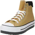 Converse Chuck Taylor All Star City Trek Waterpro Winter Sko brun