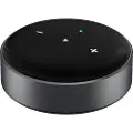 WIIM Mini