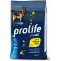 PROLIFE Smart Adult Medium/ Large Breed kylling og ris for mellomstore og store raser - Sett %: 2 x 12 kg