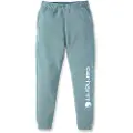 Carhartt Midweight Tapered Graphic Bukser