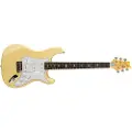 Paul Reed Smith PRS SE Silver Sky Moon White