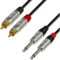 Adam hall 4 STAR Rean Unbalanced Twin 1/4" Jack to RCA Cable 6m