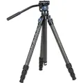 Sirui Travel St-124 + Videohead Va-5 C Stativ