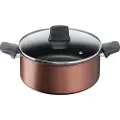 Tefal Resource Stewpot 24 cm/5.2 l. w. lid