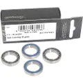 Campagnolo Ceramic Freewheel Lager 4 Enheter