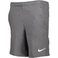Nike Park Fleece Shorts