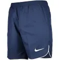 Nike Dri-fit Dh8408 Shorts