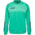 Hummel Promo Collegegenser