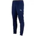 Puma Teamrise Poly Training Bukser