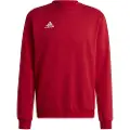 Adidas Entrada 22 Stadium Sw Collegegenser