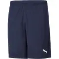 Puma Teamrise Training Shorts