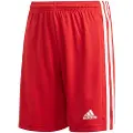 Adidas Squadra 21 Shorts