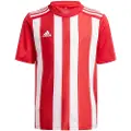 Adidas Striped 21 Kortarmet T-skjorte