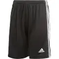 Adidas Squadra 21 Shorts