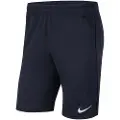 Nike Dri Fit Park Knit Shorts