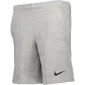 Nike Park Fleece Shorts