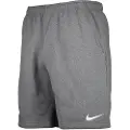 Nike Park Fleece Shorts