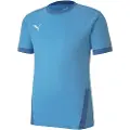 Puma Teamgoal 23 Kortarmet T-skjorte