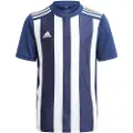 Adidas Striped 21 Kortarmet T-skjorte