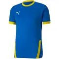 Puma Team Goal 23 Kortarmet T-skjorte