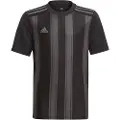 Adidas Striped 21 Kortarmet T-skjorte