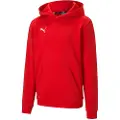 Puma Teamgoal 23 Casuals Hetteskjorte