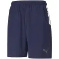 Puma Teamliga Sideline Shorts