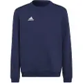 Adidas Entrada 22 Stadium Sw Collegegenser