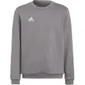 Adidas Entrada 22 Stadium Sw Collegegenser