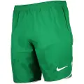 Nike Dri-fit Dh8111 Shorts