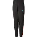 Puma Teamliga Pa Bukser