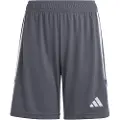 Adidas Tiro 23 Shorts