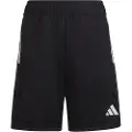 Adidas Hi4713 Shorts