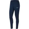 Nike Dri Fit Academy Bukser