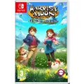 Numskull Switch Harvest Moon The Winds Of Anthos
