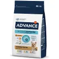 Affinity Advance Advance Yorkshire Terrier Adult - Økonomipakke: 3 x 1,5 kg