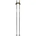 Swix Dynamic D3 Spaserstokker