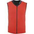Dainese Snow Scarabeo Auxagon Beskyttelsesvest