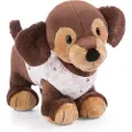 Nici Hund Skida Slachicha Med Snødrakt Teddy